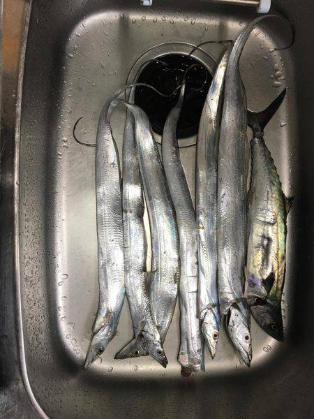 お腹いっぱいで満足！！！！