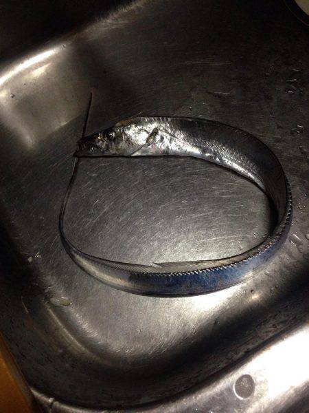 暴風と寒さの戦いの末…