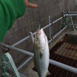 久しぶりの平日休み