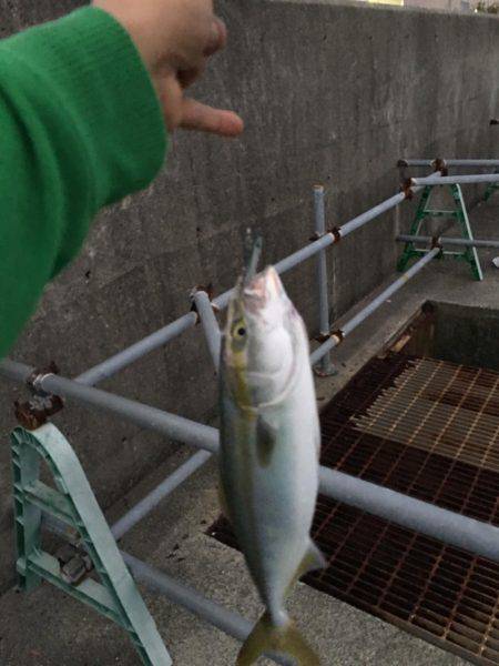 久しぶりの平日休み