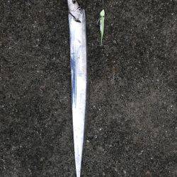 朝一渋いね〜！