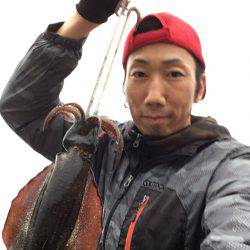 朝まずめアオリイカ釣行〜