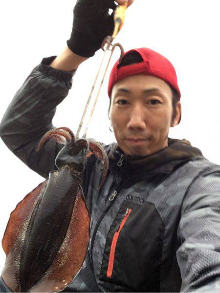 朝まずめアオリイカ釣行〜