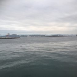 初めてのサゴシ