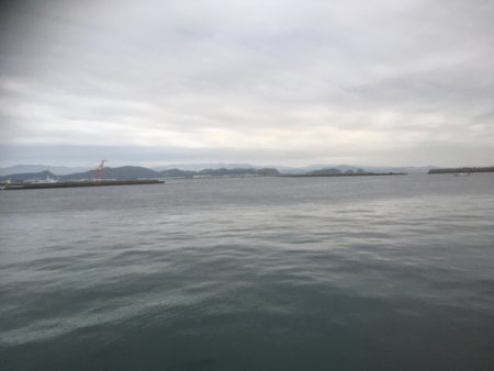 初めてのサゴシ