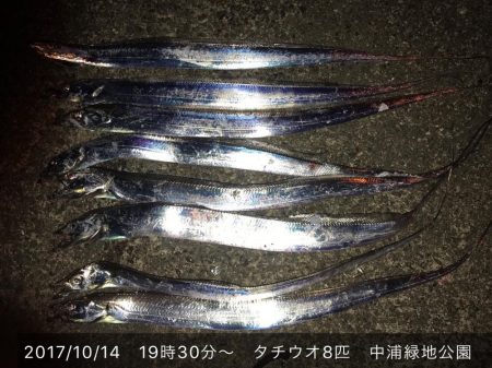 テンヤでタチウオ