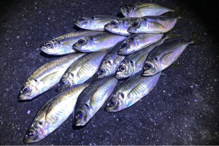 苦手ポイントで納得の釣果