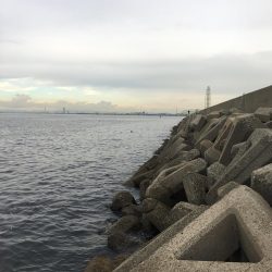 夕まずめワインド