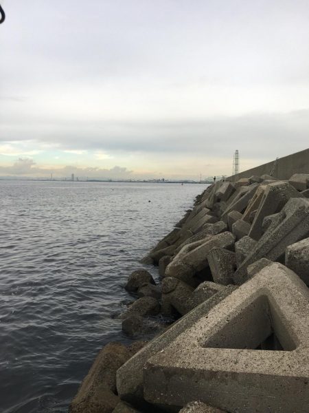 夕まずめワインド