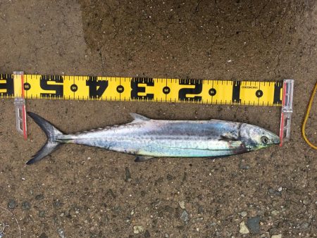 1ヒット1キャッチ 少ないチャンスを