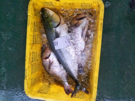 初の家島フィッシングパークSea遊