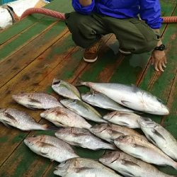 生憎の天候でしたが…