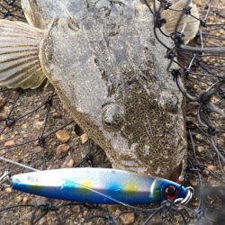 青色 銀色 茶色のん