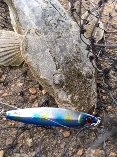 青色 銀色 茶色のん