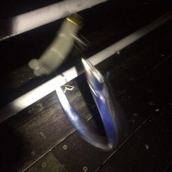 サイズアップを期待