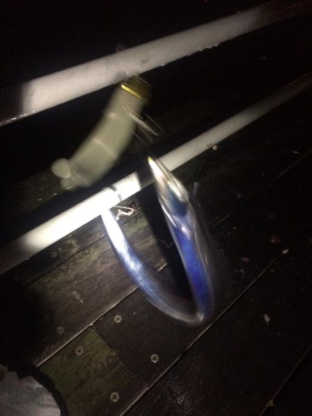 サイズアップを期待