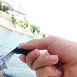 雨あがりのシーバスフィッシング!