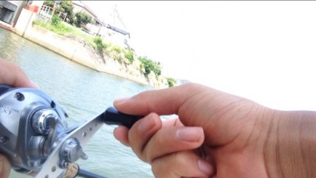 雨あがりのシーバスフィッシング!