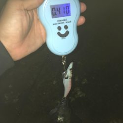 雨予報でも降らないよね