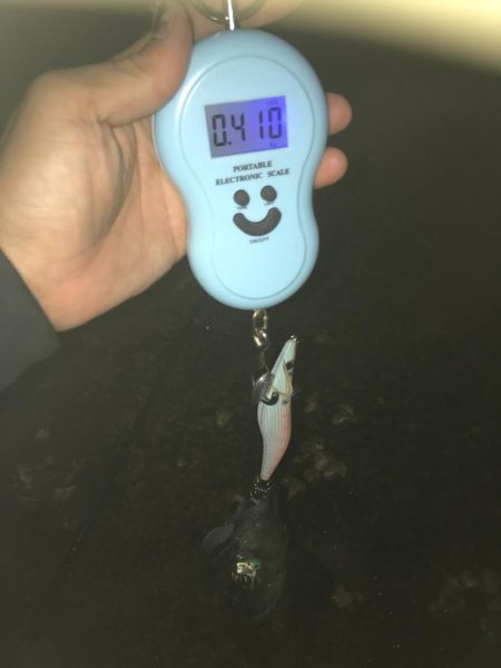 雨予報でも降らないよね