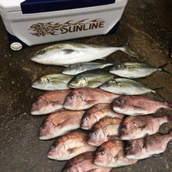 じゃのひれフィッシングパークにて