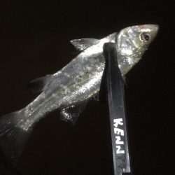 土砂降りでしたが楽しめました。