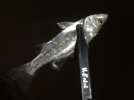 土砂降りでしたが楽しめました。