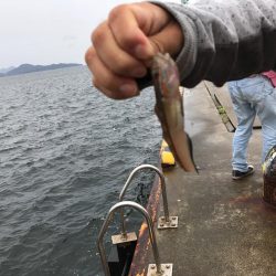 山口県東栄3丁目４４  釣具屋で聞いたポイントでチャレンジ