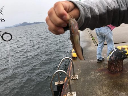 山口県東栄3丁目４４  釣具屋で聞いたポイントでチャレンジ