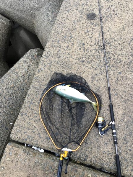 ショアジギング