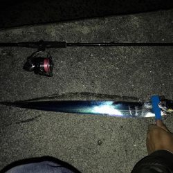 寒くなってきました