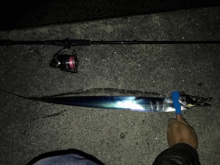 寒くなってきました