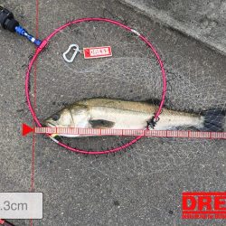 まさかの投げ練中のヒット！