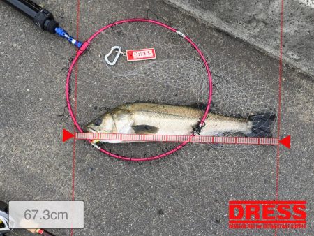 まさかの投げ練中のヒット！