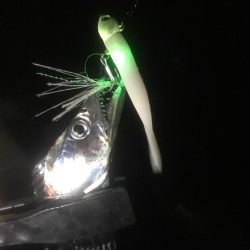 寒すぎルンデス