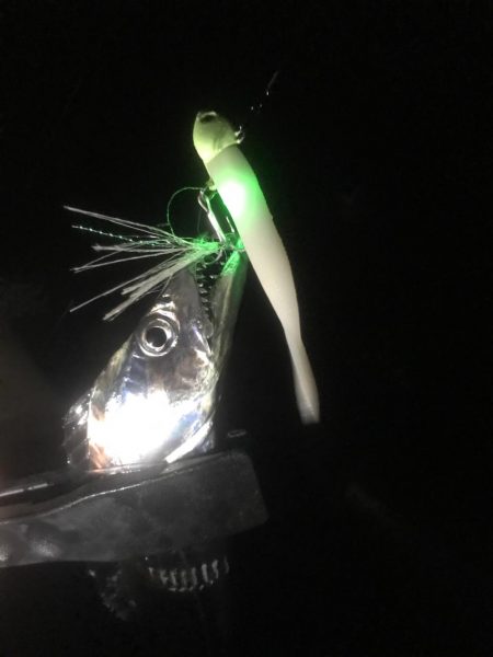 寒すぎルンデス