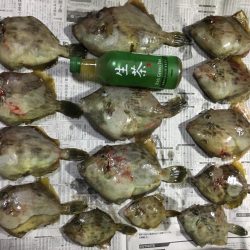 カワハギ船釣り