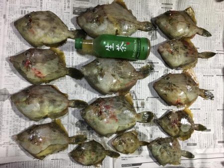 カワハギ船釣り