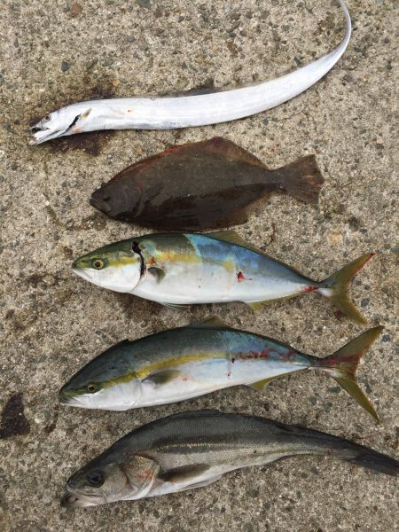 ショアジギングのはずが！