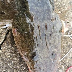 茶色いのんやけど