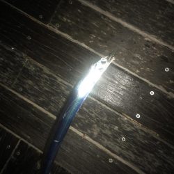 イワシの引き釣り