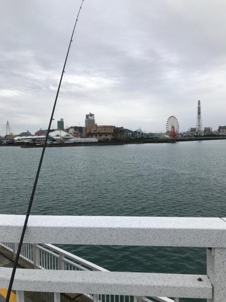 小雨の中の釣行