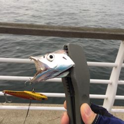 風が強くなってきました