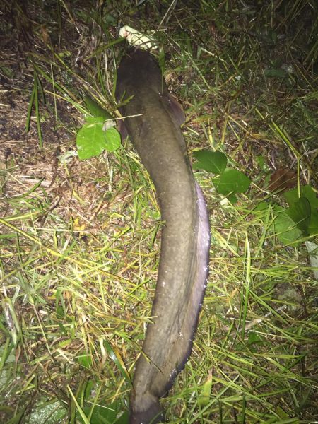 テスト勉強の息抜き。