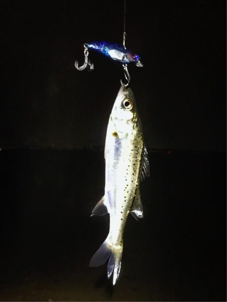 ナイトウェーディング