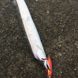 ポーアイ沖堤ショアジギング