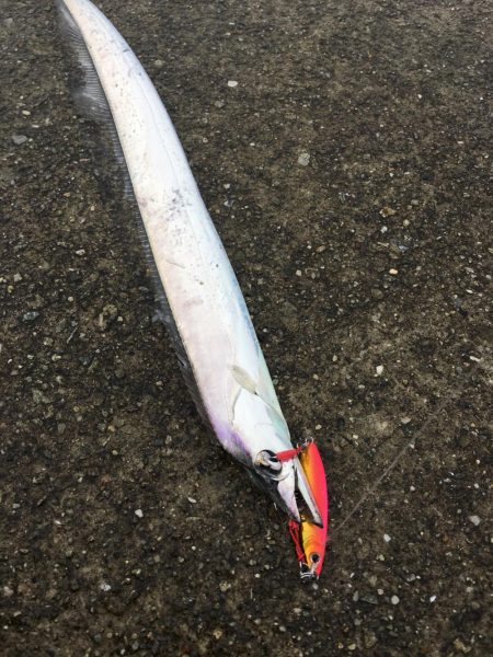 ポーアイ沖堤ショアジギング