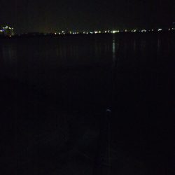 初の手のひら以上キビレ