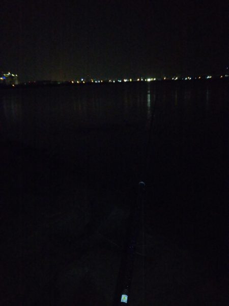 初の手のひら以上キビレ