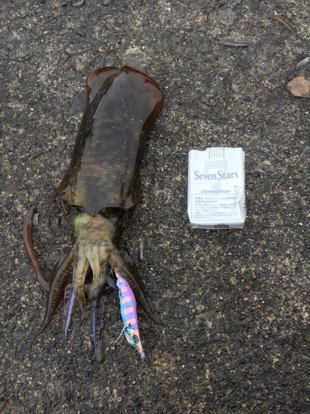 台風前大曽根漁港